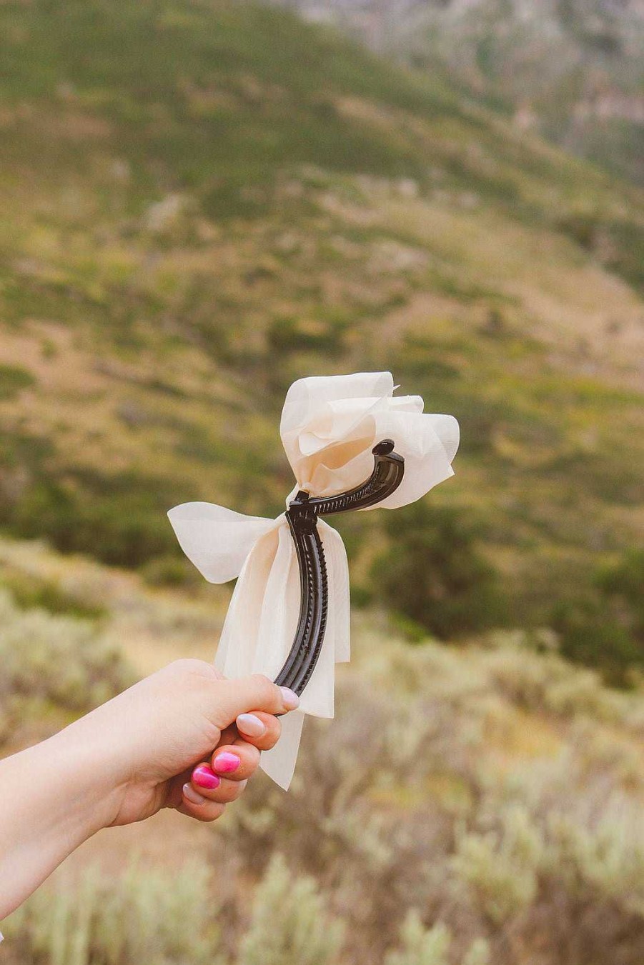 Claw Clips ANDI | Sheer Bow Banana Claw Clip