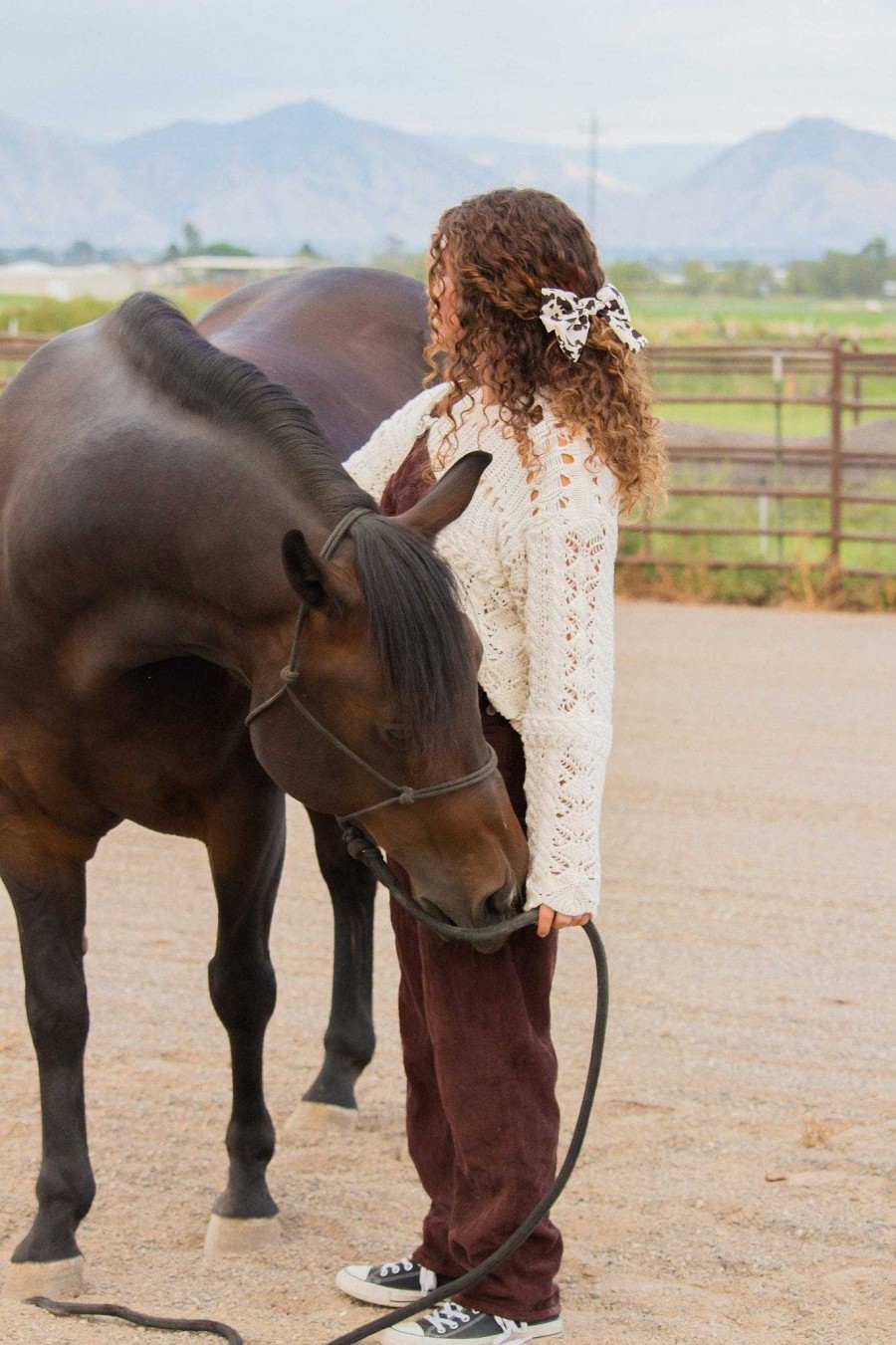 All Hair ANDI | Cowbow Barrette