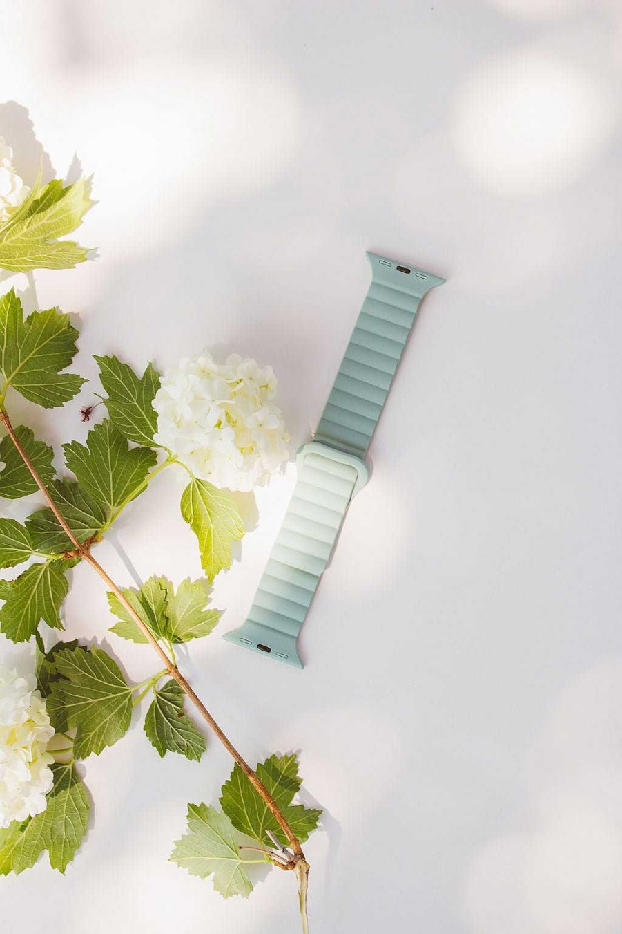 Watch Bands ANDI | Aloe Magnetic Loop Watch Band