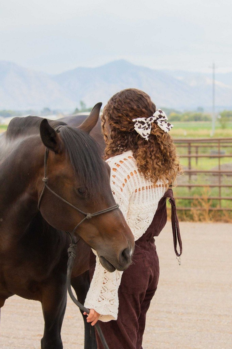 All Hair ANDI | Cowbow Barrette