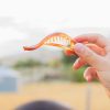 Claw Clips ANDI | Alligator Claw Clip - Multiple Colors